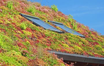 Sevenhampton living roof systems